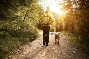 A person walks along a forest path with their dag. Learn how anxiety therapy in Colorado Springs, CO can help you today by contacting an online therapist in Colorado. They can offer anxiety help in Colorado Springs and more. 